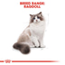 ROYAL CANIN Ragdoll Adult granule pro kočky
