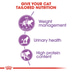 ROYAL CANIN STERILISED granule pro kastrované kočky