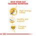ROYAL CANIN Sphynx Adult granule pro kočky