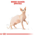 ROYAL CANIN Sphynx Adult granule pro kočky