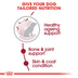 ROYAL CANIN MEDIUM Ageing 10+