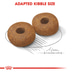 ROYAL CANIN MEDIUM Ageing 10+