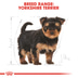 Royal Canin Yorkshire Terrier 29 Junior