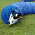 dobar Agility tunel, délka 300 cm, Ø 50 cm