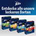 Felix Countryside Sensations s hovězím masem, kuřecím masem a zeleninou