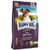 Happy Dog Irland