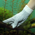 JBL rukavice pro péči o akvárium