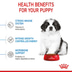 ROYAL CANIN GIANT Puppy pro štěňata velkých plemen