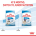 ROYAL CANIN GIANT Puppy pro štěňata velkých plemen