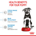 ROYAL CANIN MAXI Puppy