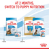 ROYAL CANIN MAXI Starter