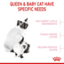 Royal Canin Mother & Babycat
