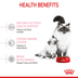 Royal Canin Mother & Babycat