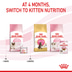 ROYAL CANIN MOTHER & BABYCAT Mousse pro březí kočky a koťata