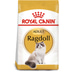 ROYAL CANIN Ragdoll Adult granule pro kočky