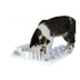 Cat Activity Fun Board