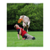 Trixie Dog Activity Dog Disc frisbee pro psy z plastu, 23 cm