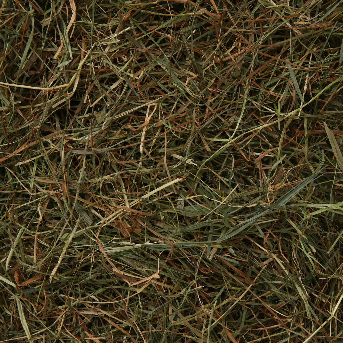 Vitakraft Vita Verde seno a pampeliška