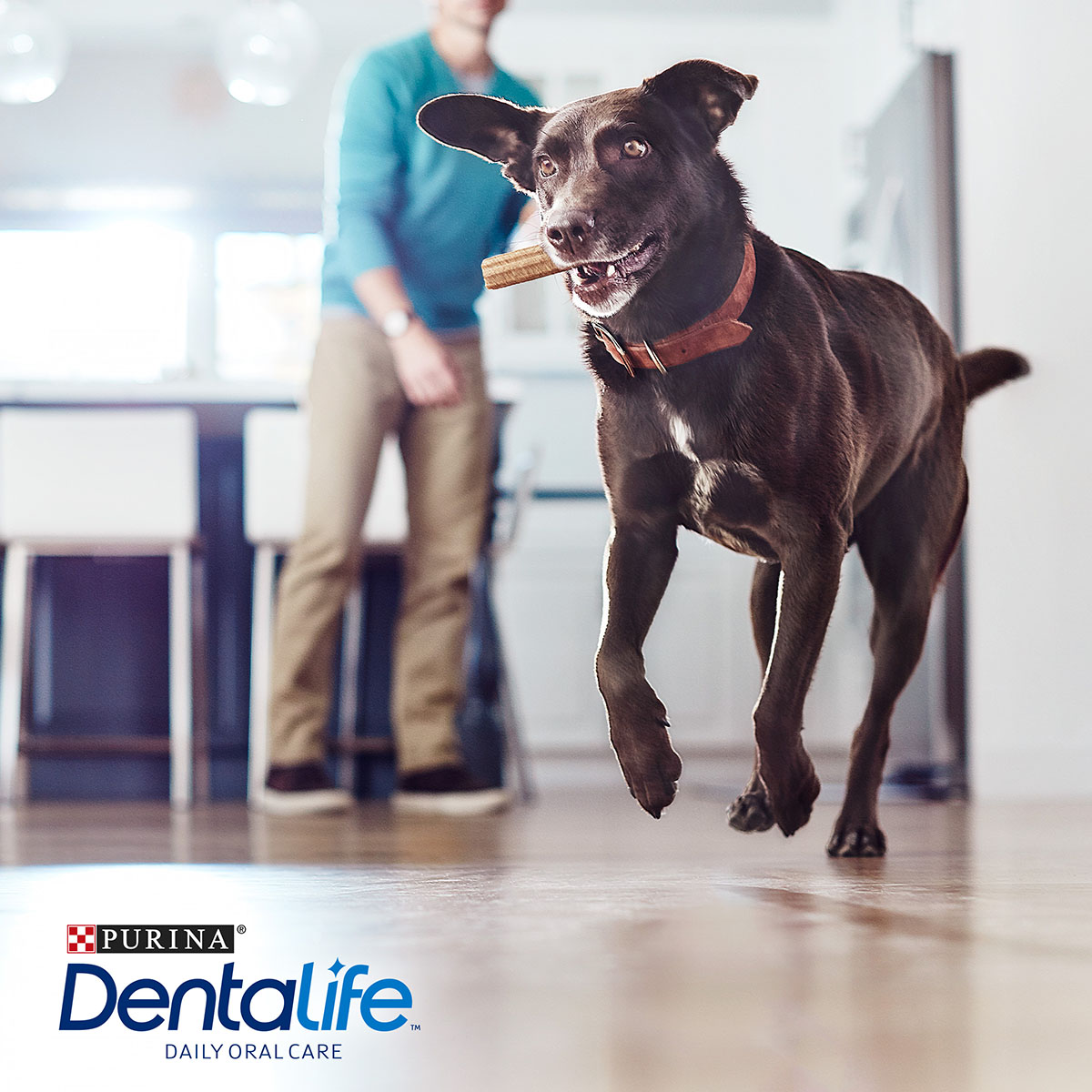Purina DentaLife snack pro každodenní péči o chrup pro velké psy Maxipack
