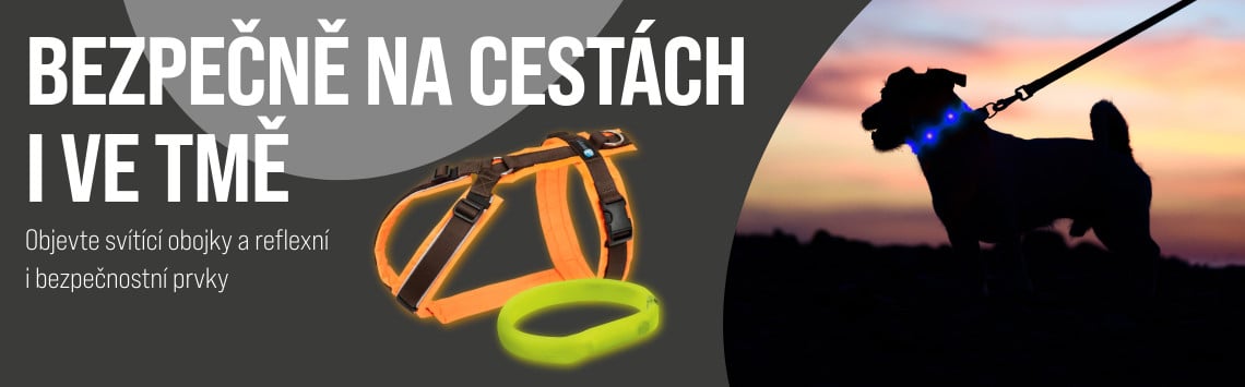 Bezpečnostní prvky