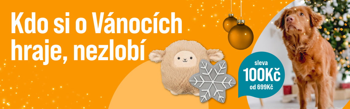 100 Kč sleva na hračky