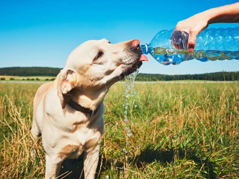 Erfrischung mit Wasser