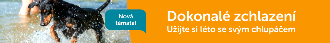 Zchlazení psa