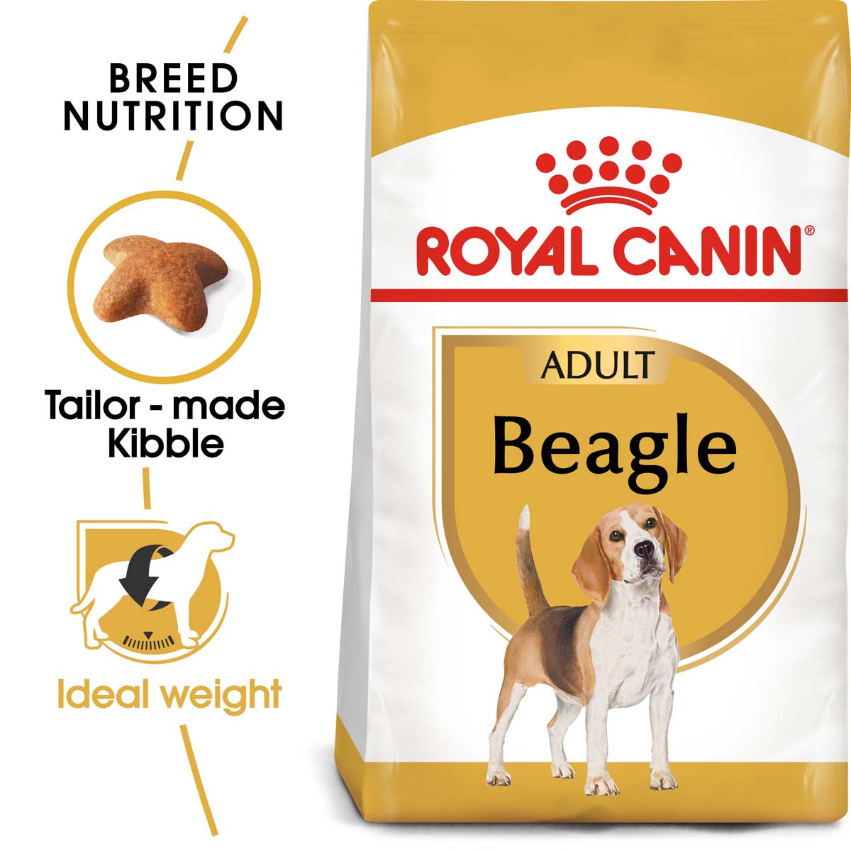 RoyalCanin Hundefutter Beagle 1
