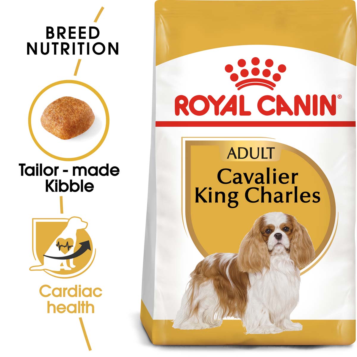 RoyalCanin Hundefutter CavalierKingCharles 1