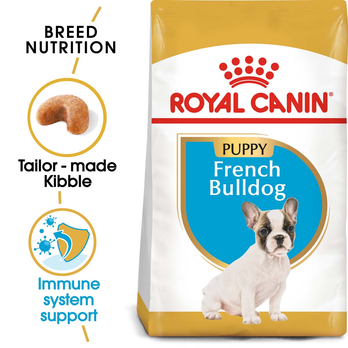ROYAL CANIN French Bulldog Puppy suché krmivo pro štěňata francouzského buldočka