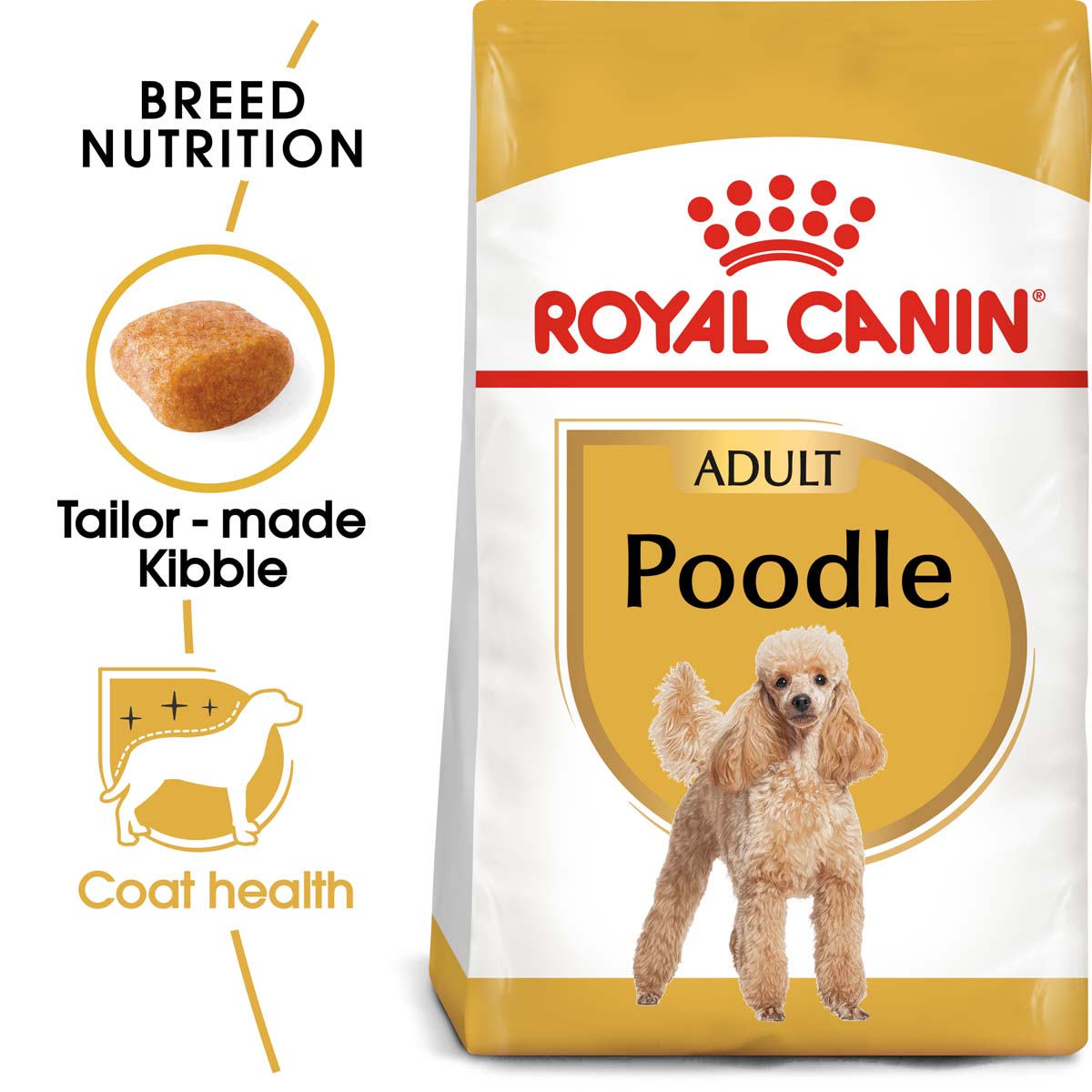 ROYAL CANIN Poodle Adult