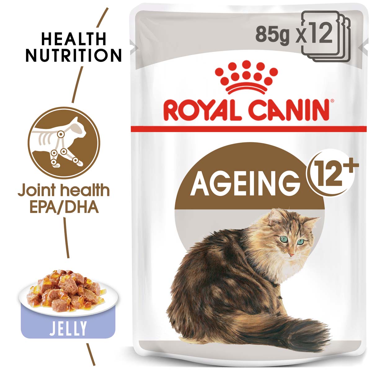 ROYAL CANIN AGEING 12+ pro kočky