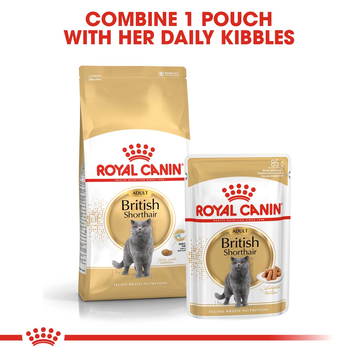 ROYAL CANIN ADULT British Shorthair 2 kg + kapsičky v omáčce 12× 85 g