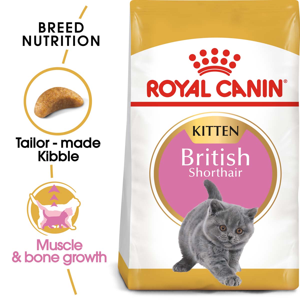 RoyalCanin Katzenfutter BritishShorthair Kitten 1