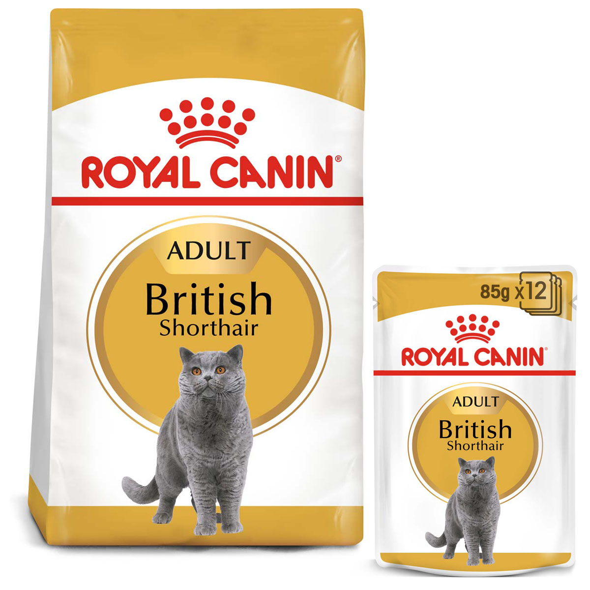RoyalCanin Katzenfutter BritishShorthair