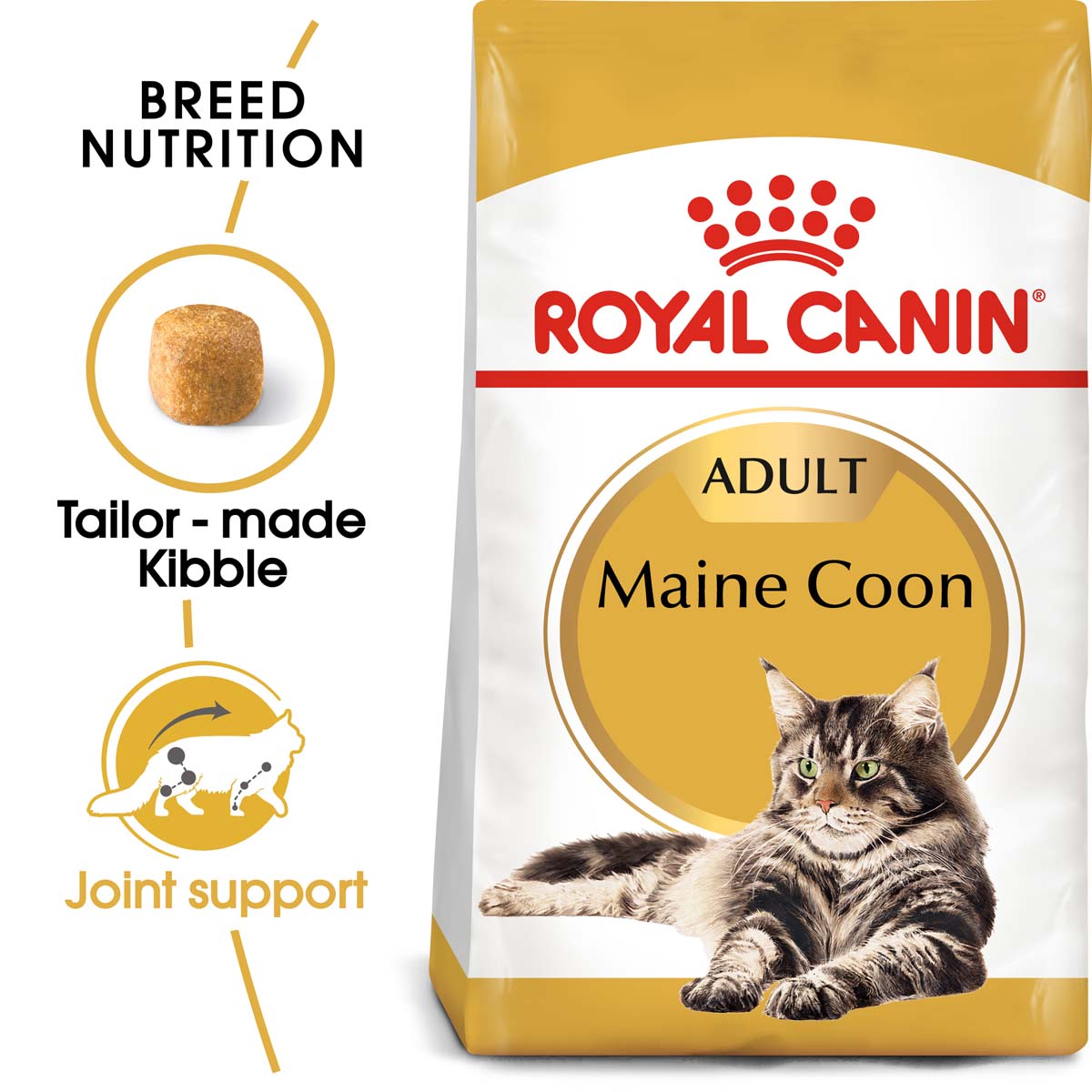 ROYAL CANIN ADULT Maine Coon 2 kg + kapsičky v omáčce 12× 85 g