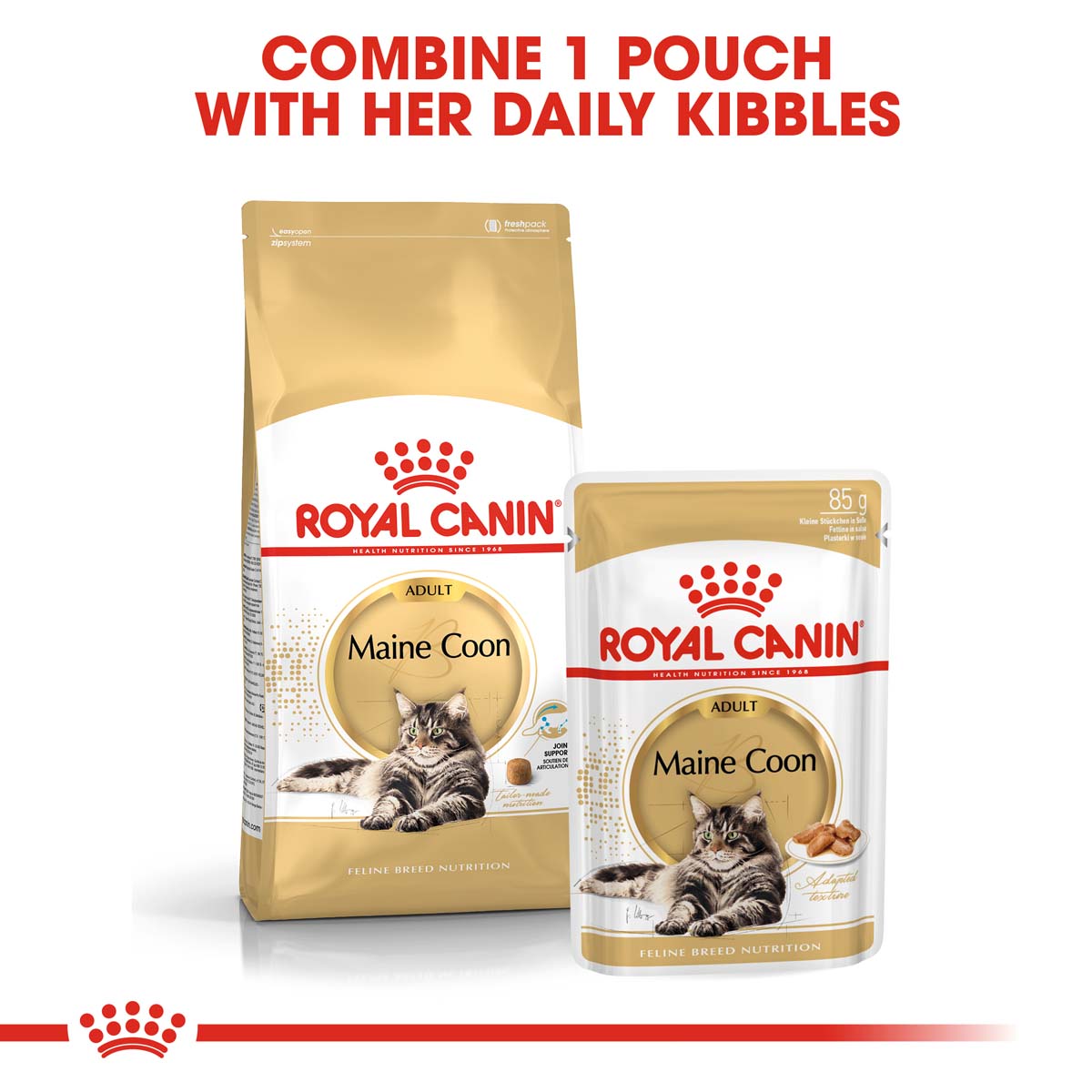 ROYAL CANIN ADULT Maine Coon 2 kg + kapsičky v omáčce 12× 85 g
