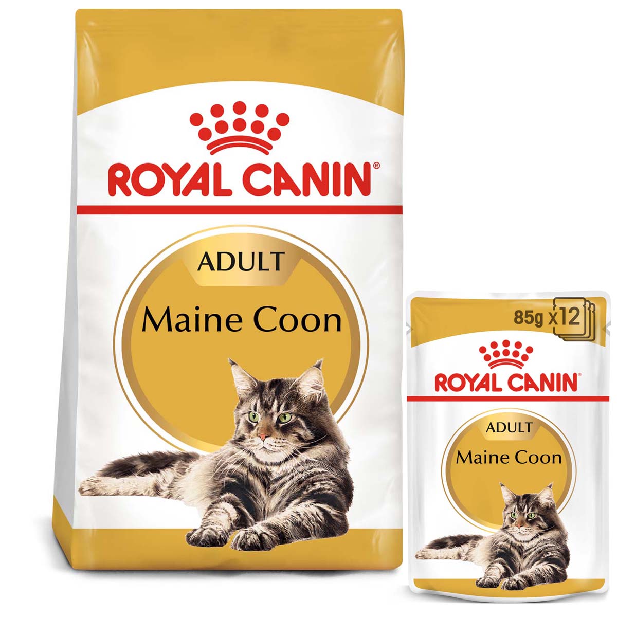 ROYAL CANIN ADULT Maine Coon 2 kg + kapsičky v omáčce 12× 85 g