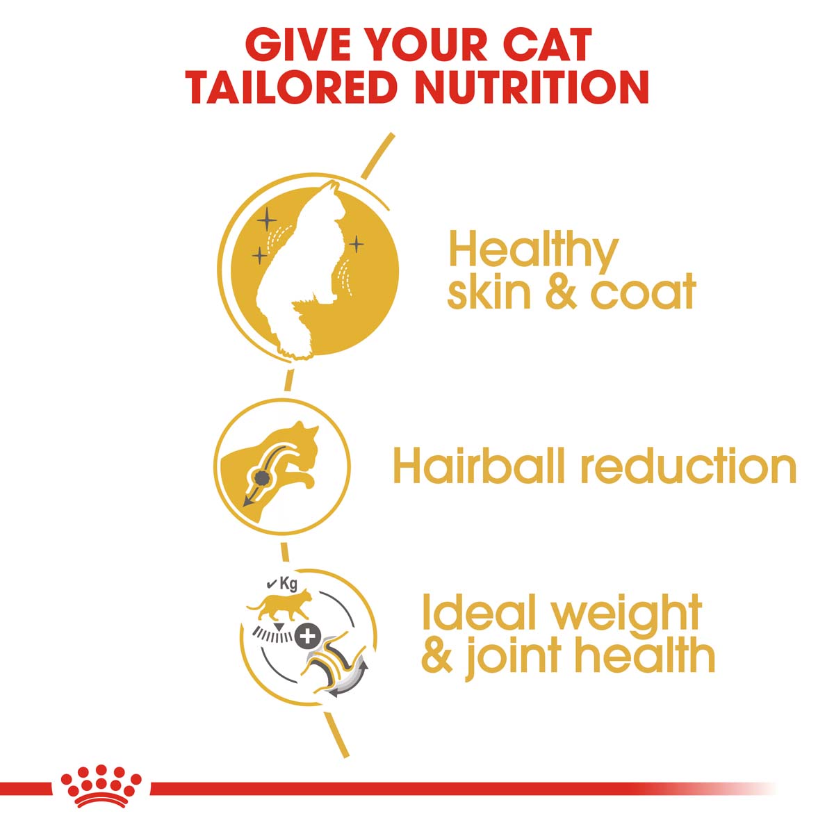 ROYAL CANIN Norwegian Forest Cat Adult pro norské lesní kočky