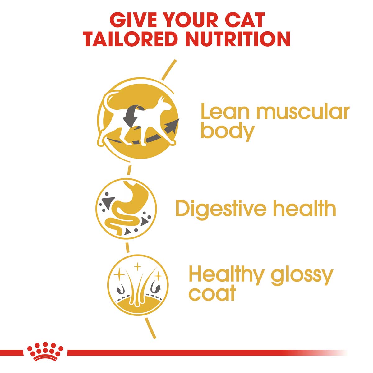 ROYAL CANIN Siamese Adult granule pro kočky
