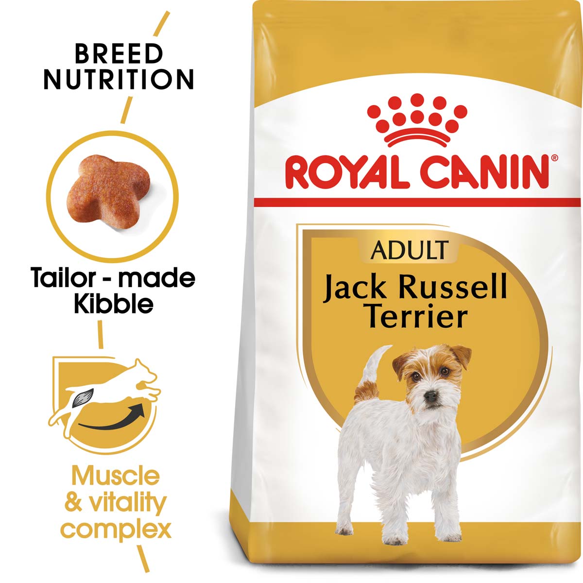 ROYAL CANIN Jack Russell Terrier Adult