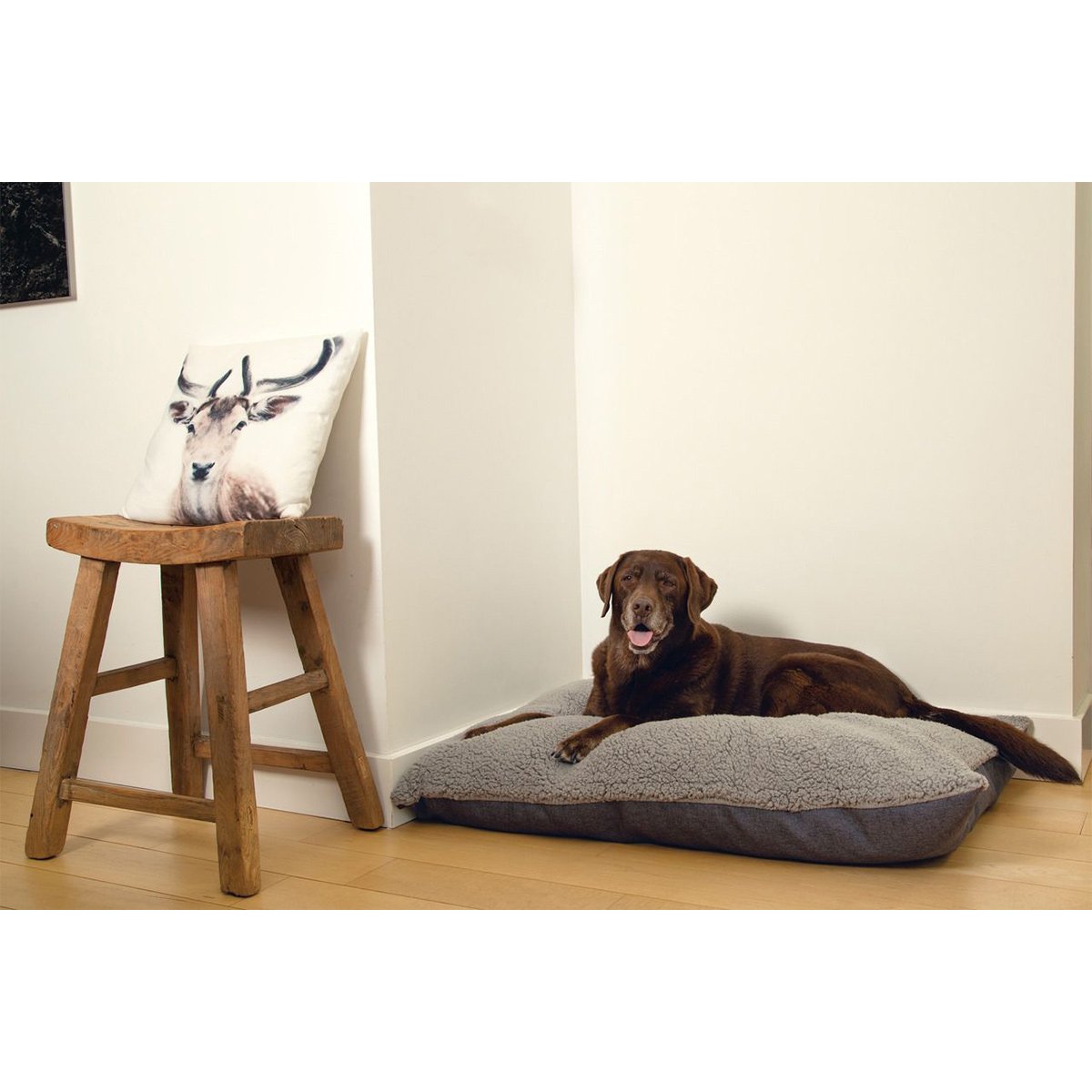 Beeztees lounge polštář pro psy Ruba z ortopedické paměťové pěny, 100 × 70 cm