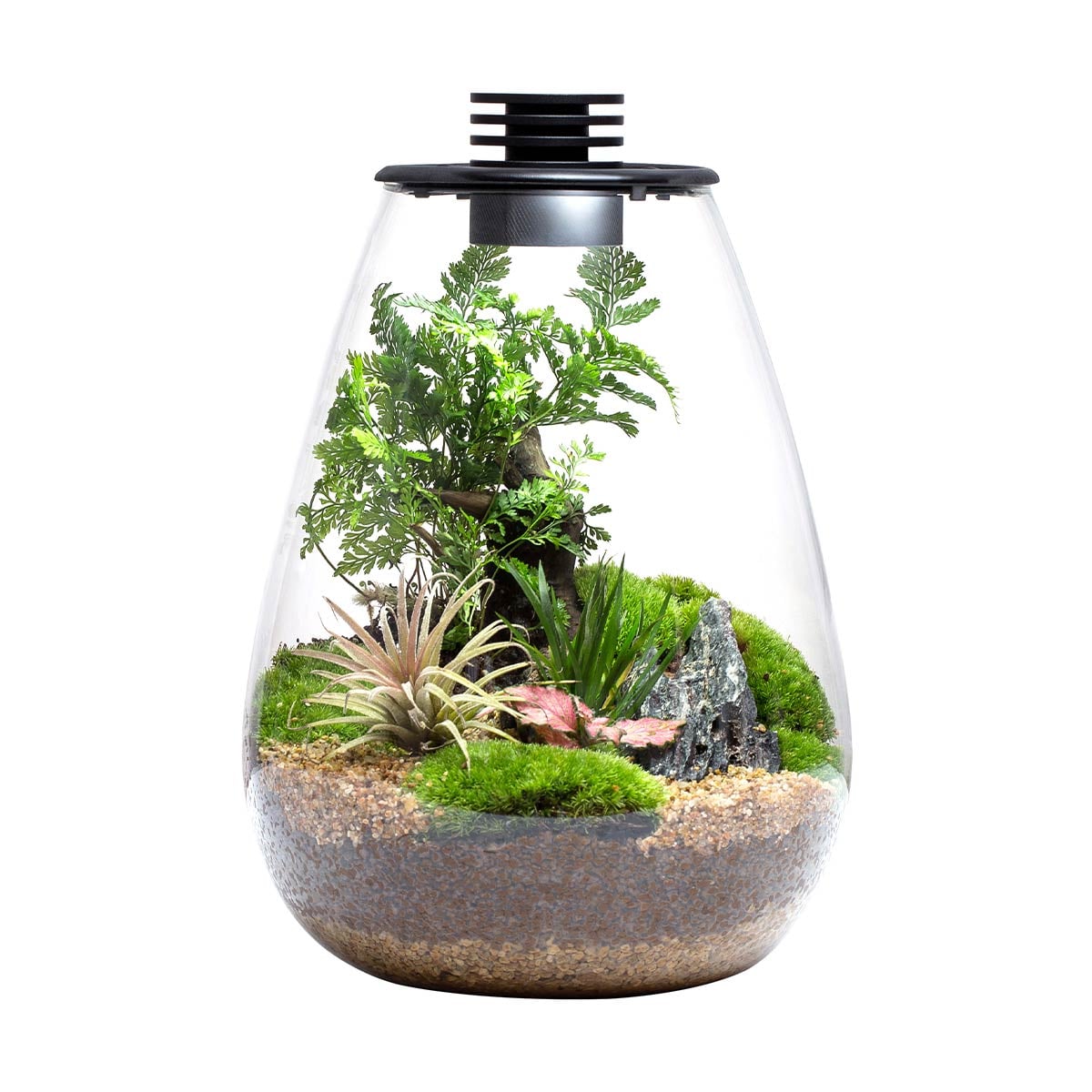 Bioloark Bio Bottle SD