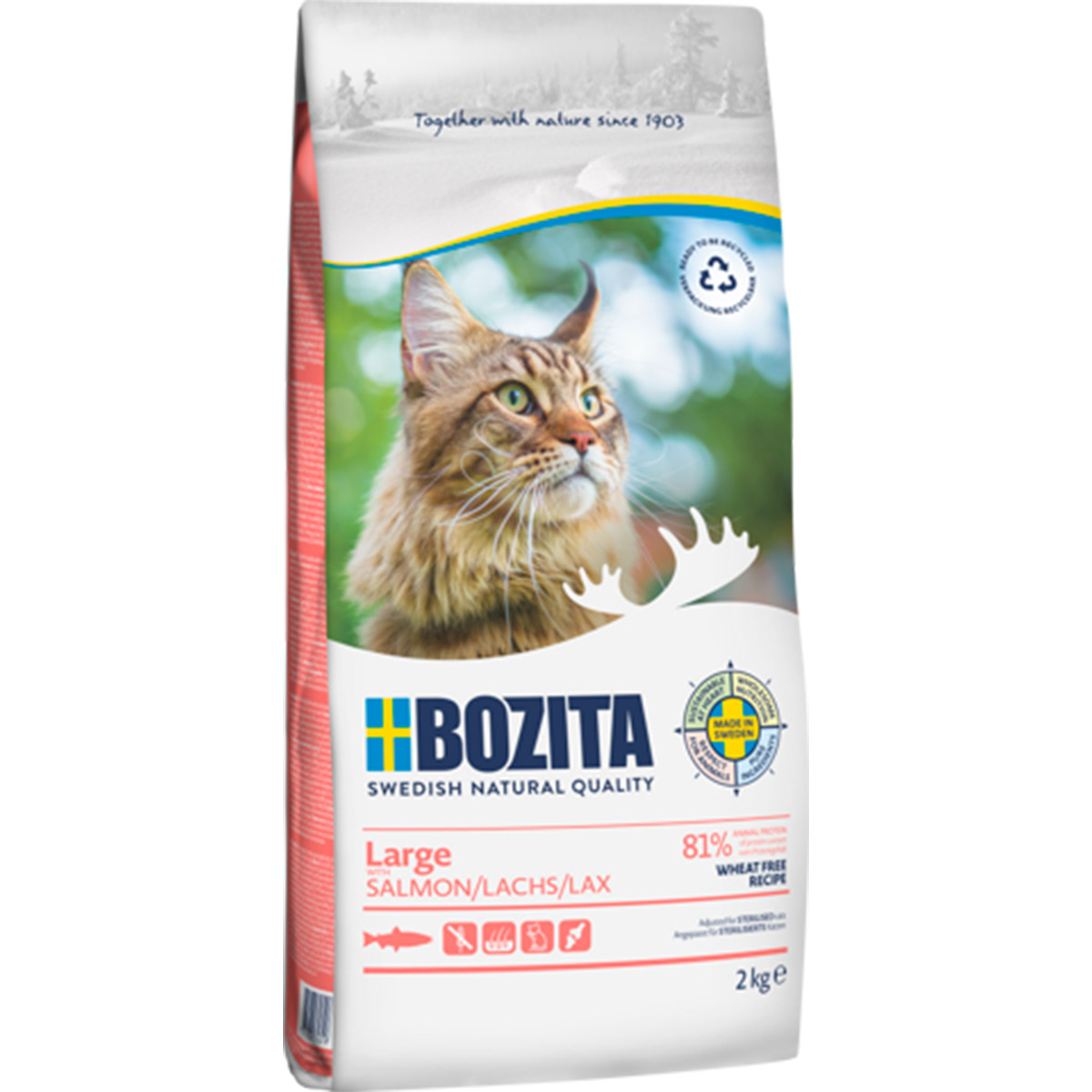 Bozita large wheat free losos 2 kg