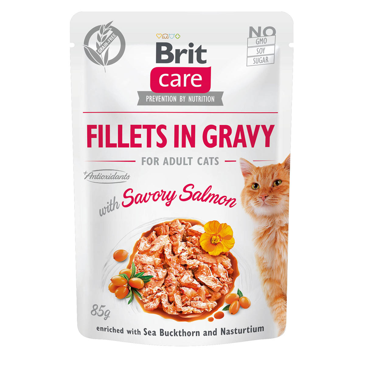 Brit Care Cat filety v omáčce s lososem