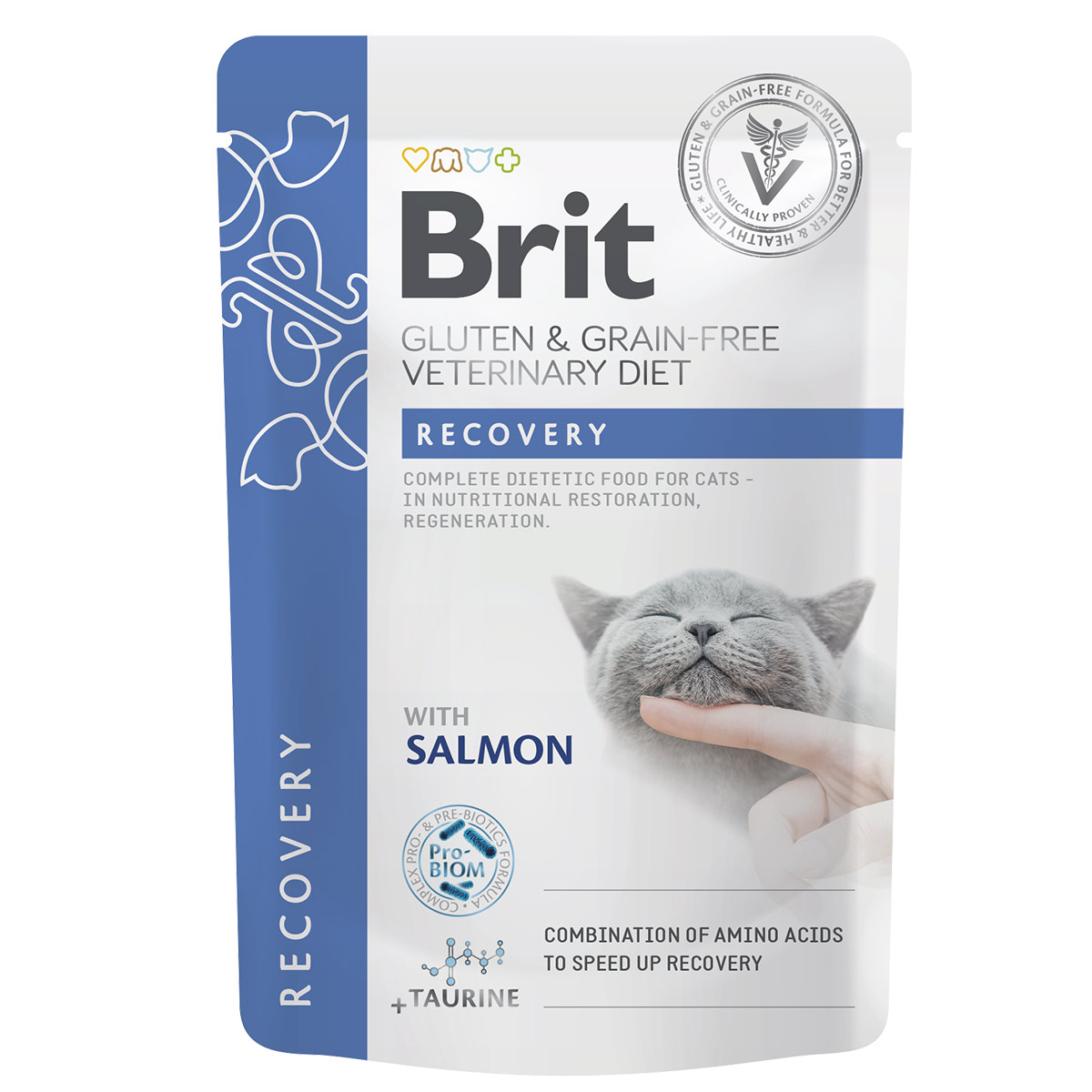 Brit Vet diet cat fillets in gravy recovery