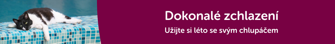 Zchlazení kočky