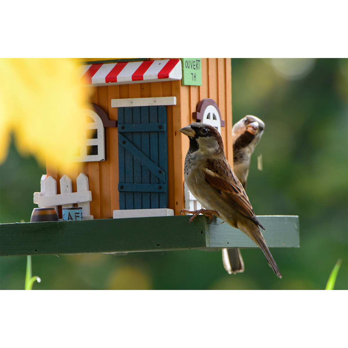 Dobar dekorativní krmítko pro ptáky „Kavárna“
