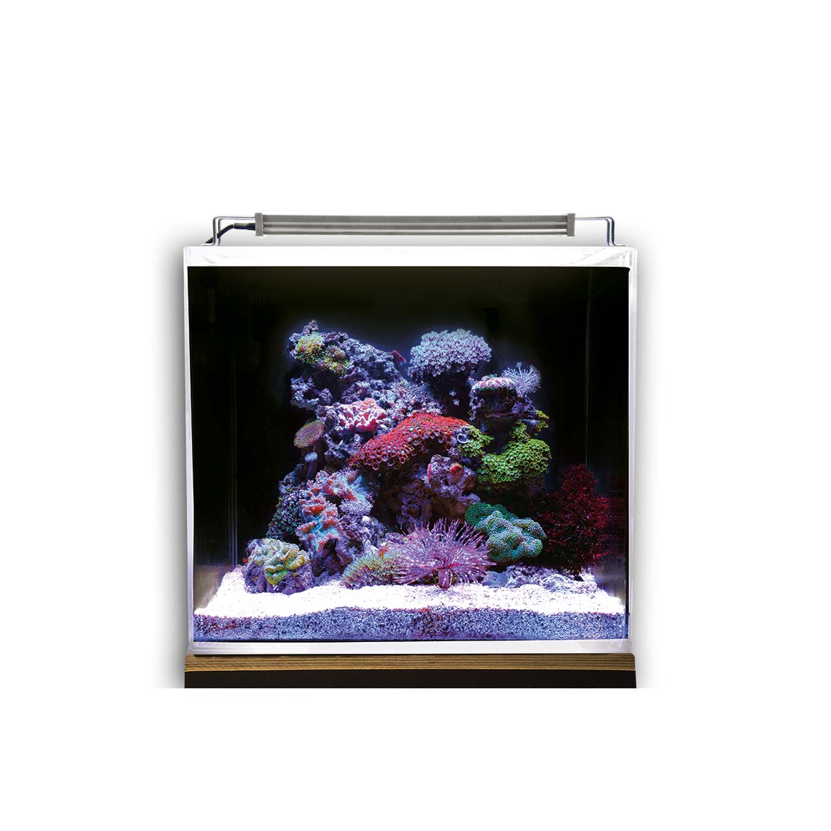 Dupla Marin akvárium s mořskou vodou Ocean Cube 50, sada