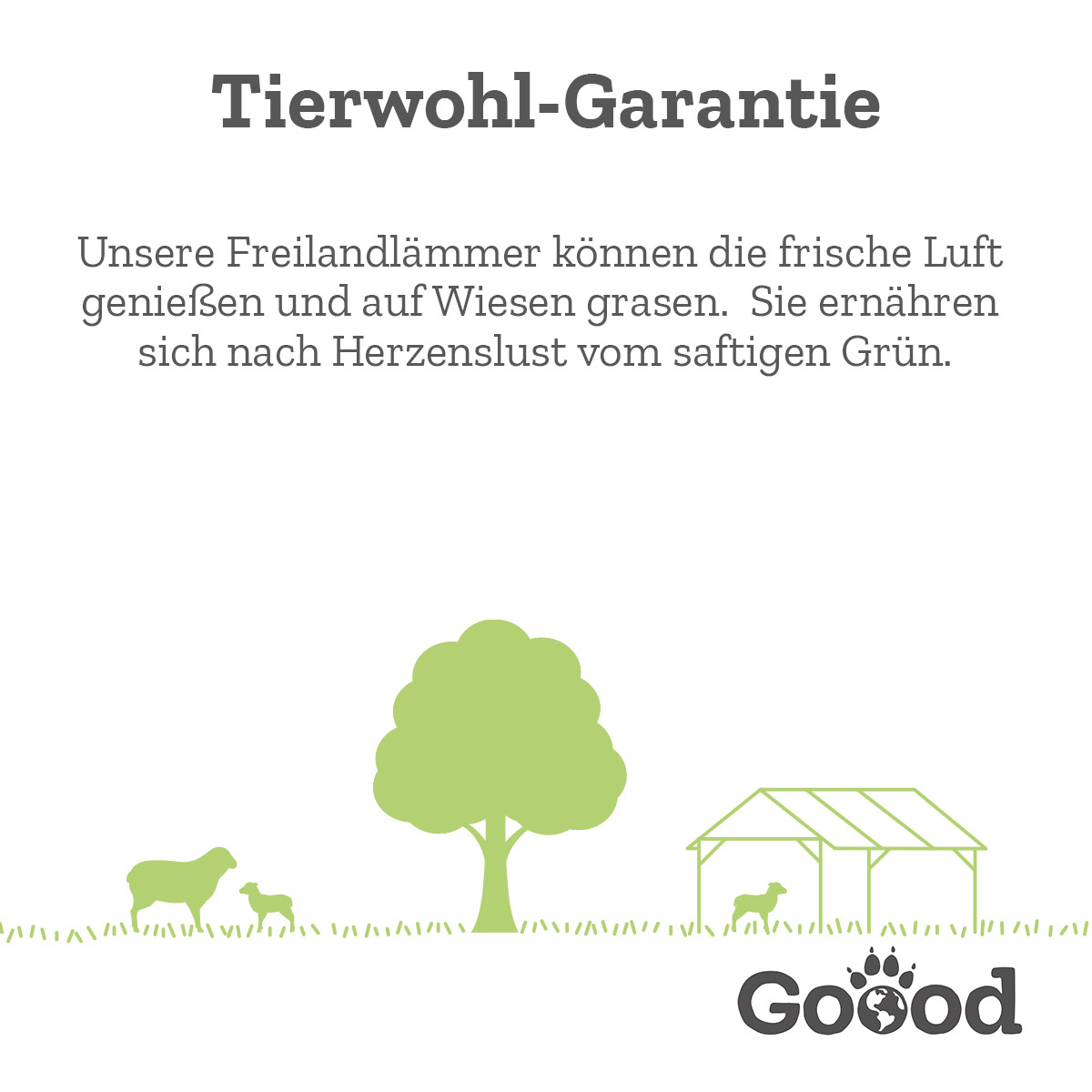 Goood Soft Gooodies jehněčí z volného chovu, 100 g